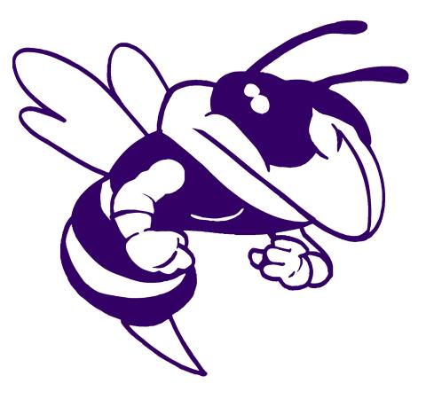 Holcomb Hornets