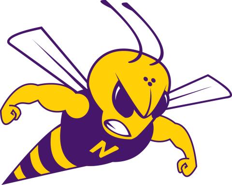 North Kansas City Hornets