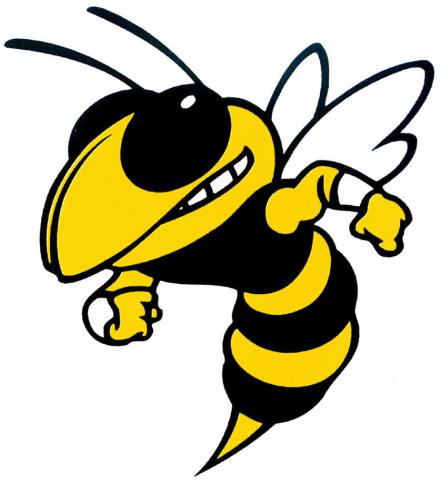 St. Elizabeth Hornets