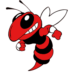 Lincoln Hornets