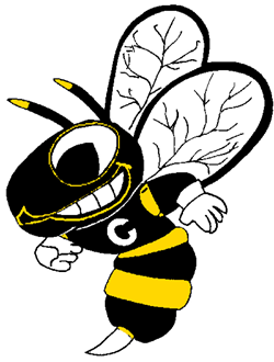 Cadott Hornets