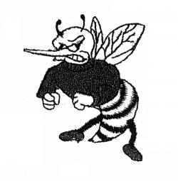 Wauzeka-Steuben Hornets