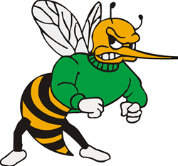 Wauzeka-Steuben Hornets