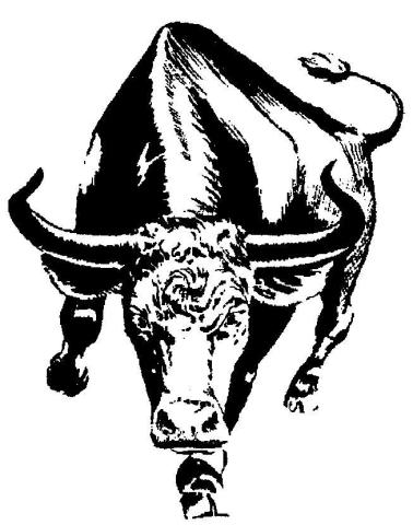 South Nodaway Longhorns