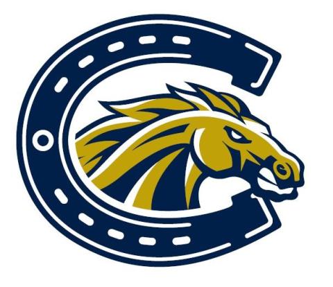 Casteel Colts