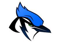 Pleasanton Blue Jays