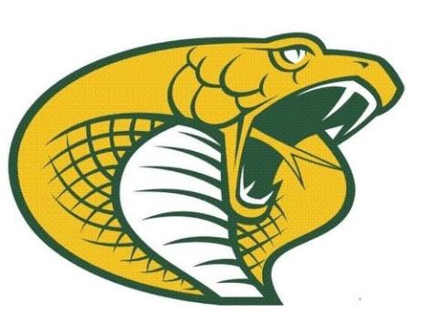 Parkland College Cobras