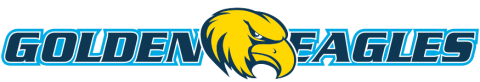 Rock Valley College Golden Eagles