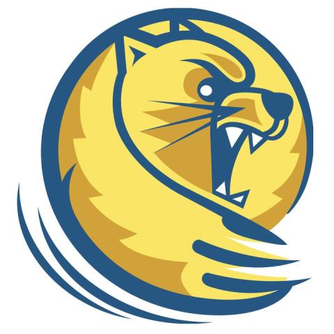 Lander University Bearcats