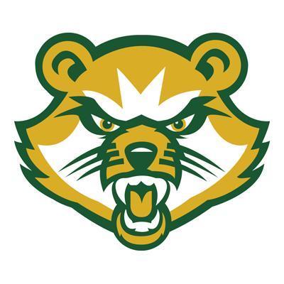 Saint Vincent College Bearcats