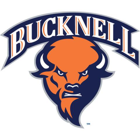 Bucknell University Bison