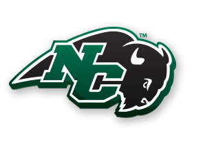 Nichols College Bison