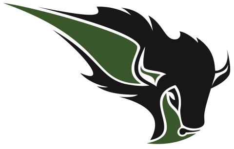 Oklahoma Baptist University Bison