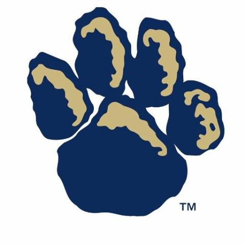 University of Pittsburgh Greensburg Bobcats