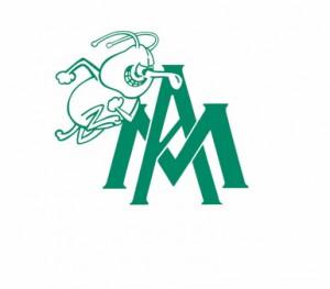 University of Arkansas-Monticello Boll Weevils