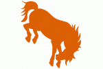 University of Texas-Pan American Broncs