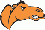 Campbell University Camels