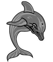 College of Mount Saint Vincent Dolphins