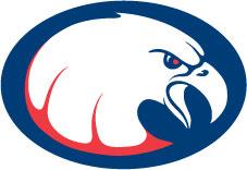 Daniel Webster College Eagles