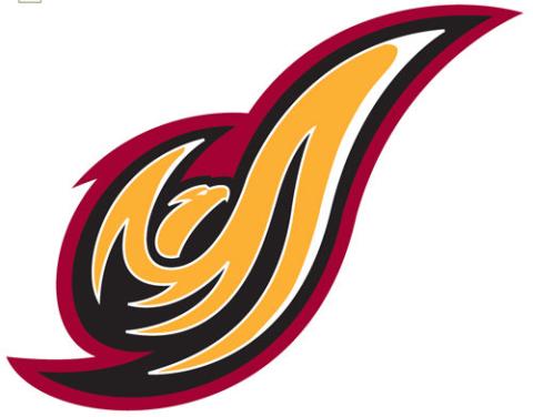 University of the District of Columbia Firebirds