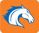 University of Texas-Arlington Mavericks