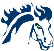 Mount Mercy College Mustangs