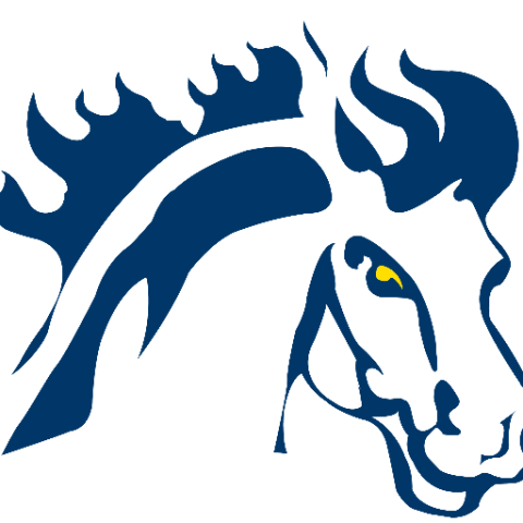 Mount Mercy College Mustangs