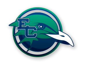 Endicott College Power Gulls