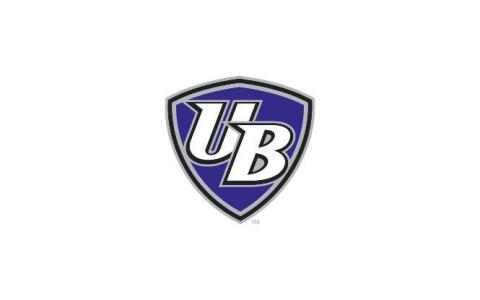 University of Bridgeport Purple Knights