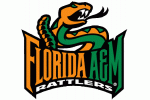 Florida A;M University Rattlers