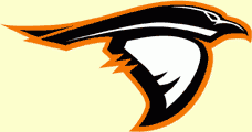 Anderson University Ravens