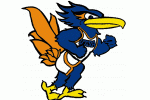 University of Texas-San Antonio Roadrunners