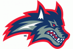 Stony Brook University Seawolves