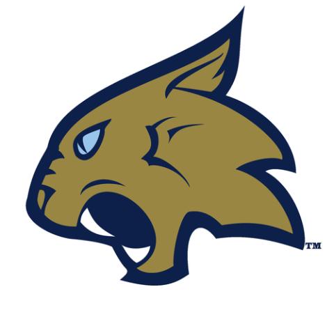 Thiel College Tomcats