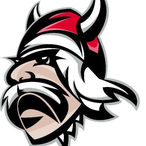 Grand View College Vikings