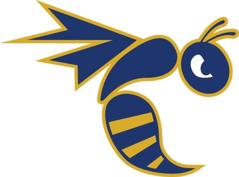 Emory ; Henry College Wasps