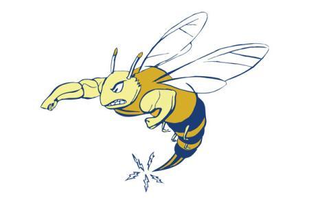 Emory ; Henry College Wasps