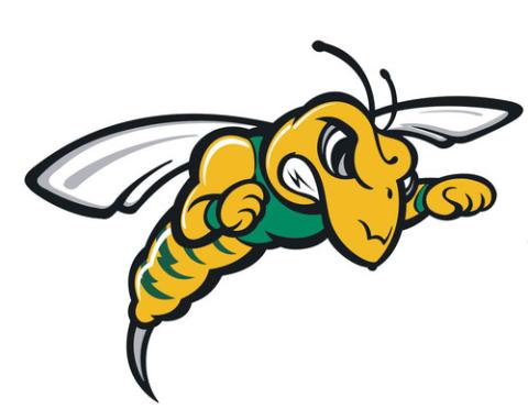 Black Hills State University Yellow Jackets