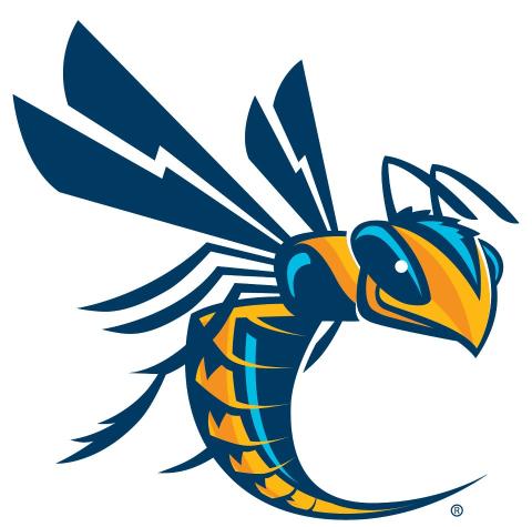 Cedarville University Yellow Jackets