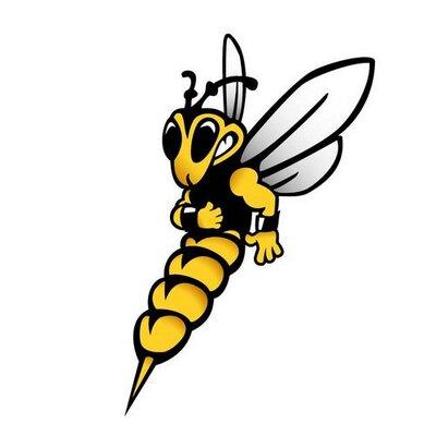 University of Wisconsin-Superior Yellowjackets