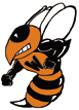 Waynesburg College Yellow Jackets