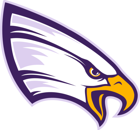 University of Northwestern Eagles