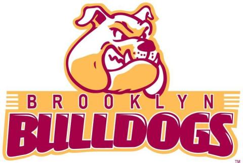 Brooklyn College Bulldogs