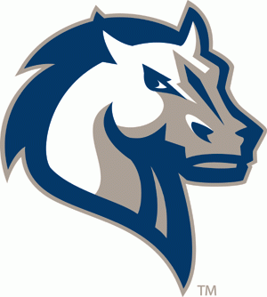 Mercy College Mavericks