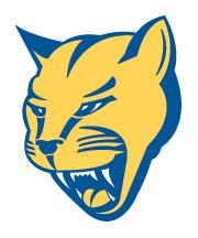 Mount St. Joseph University Lions