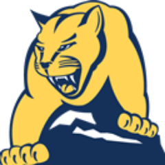 Mount St. Joseph University Lions