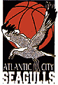 Atlantic City Seagulls