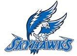 Sussex Skyhawks