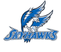 Sussex Skyhawks