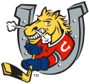 Barrie Colts